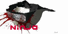 Missing Nin