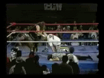 MickFoley-DoubleArmDDT.gif Mick Foley - Double Arm DDT image by izko_90