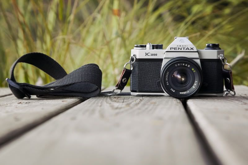 IMAGE: http://i119.photobucket.com/albums/o122/outofsalival/IMG_4799.jpg