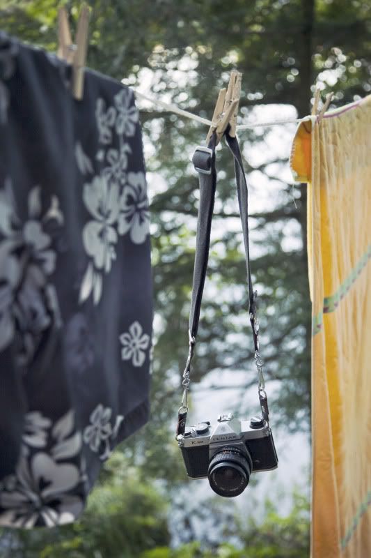 IMAGE: http://i119.photobucket.com/albums/o122/outofsalival/IMG_4816.jpg