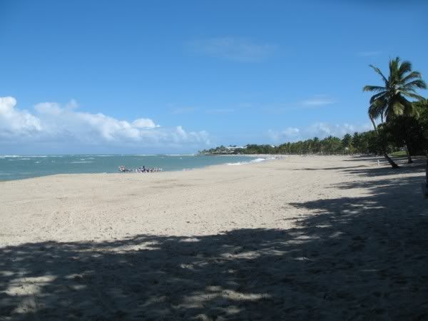 Beacheastview.jpg