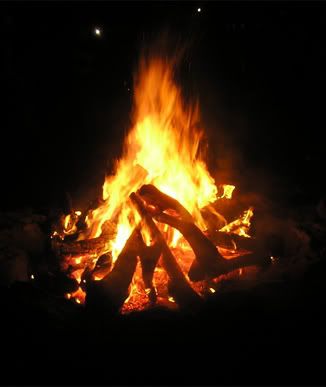 bonfire Pictures, Images and Photos