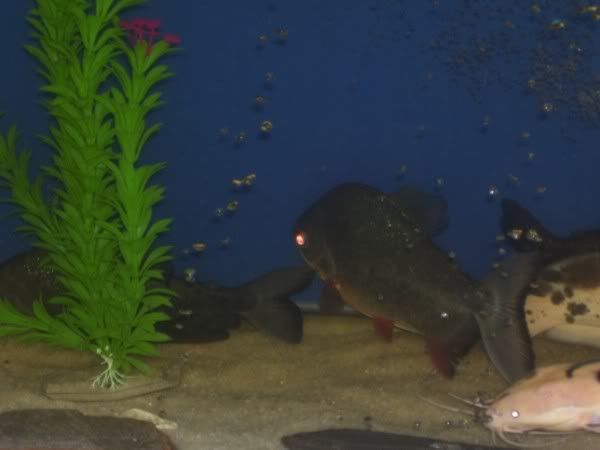 100_0883600x450.jpg
