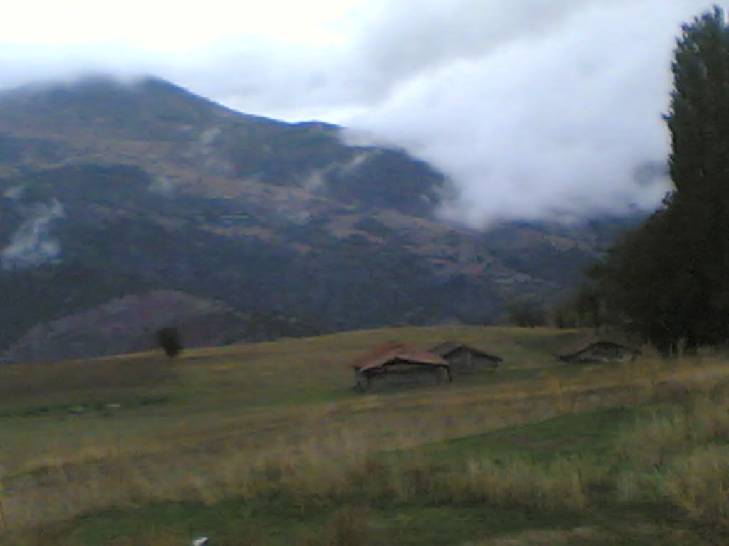 eKoN009.jpg