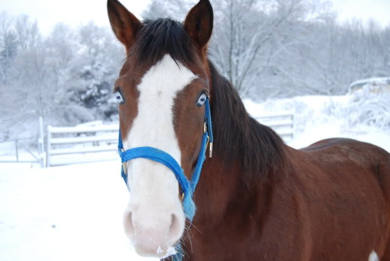 Blue eyed one