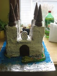 Zach's Castle cake