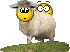 sheep4.gif