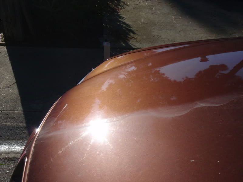 P1054430.jpg