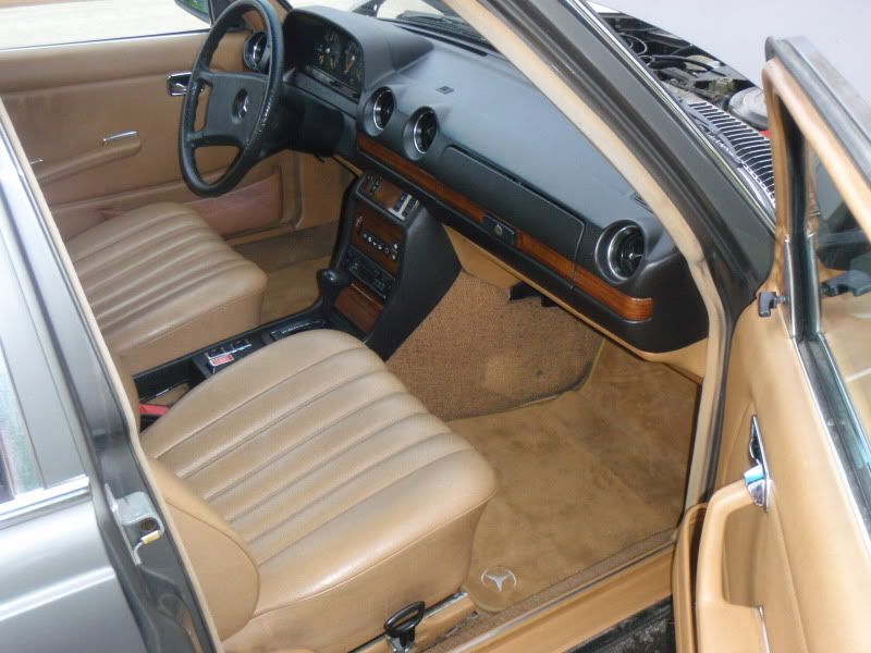 benzpassenger.jpg