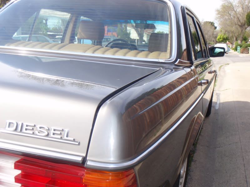dieselfrombehind.jpg