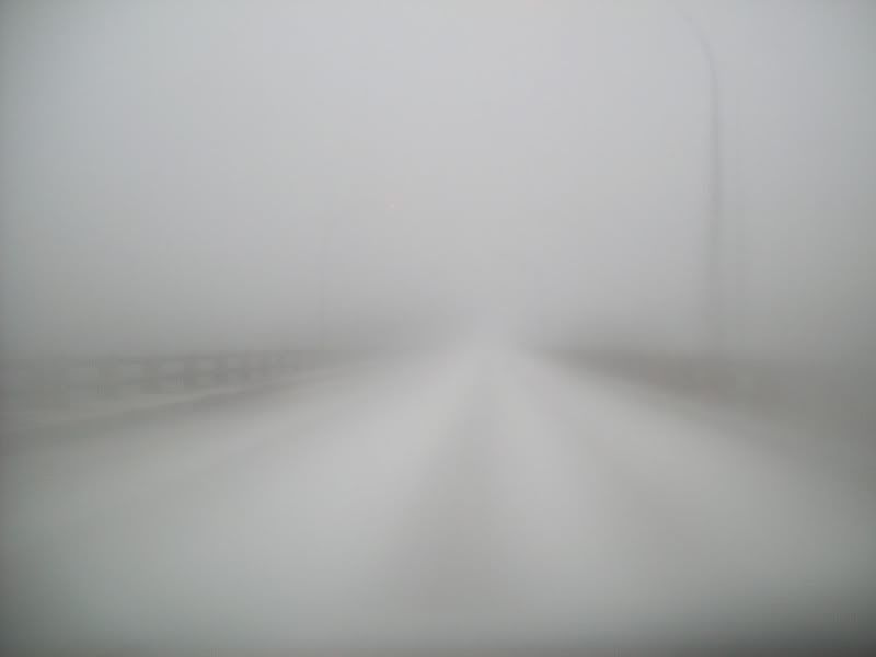 Picture2067.jpg