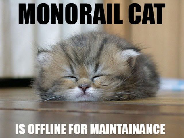 monorailcat.jpg