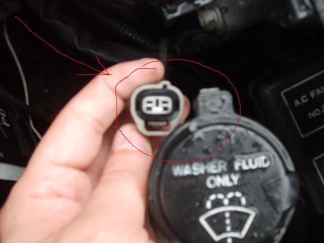 plug1.jpg