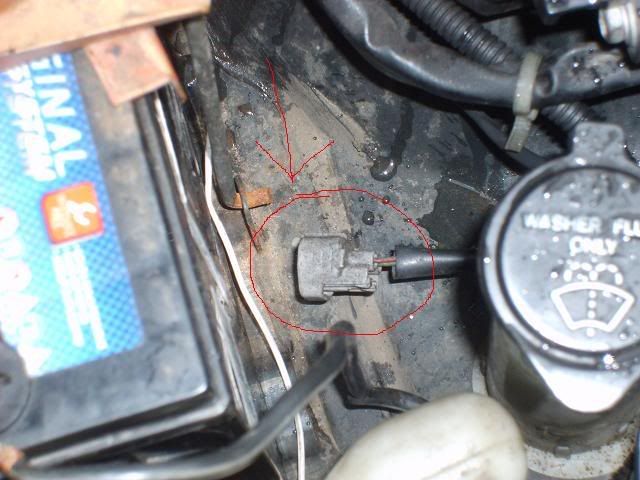 plug2.jpg