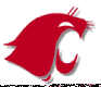 cooper cougars