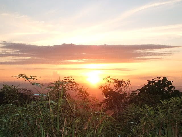 Picture:Click to zoom Picture:Click to zoom