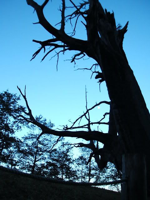 Picture:Click to zoom Picture:Click to zoom