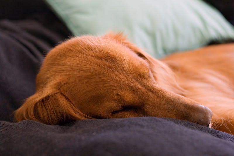 IMAGE: http://i119.photobucket.com/albums/o129/whakojacko/relaxtime.jpg