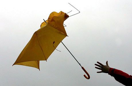 umbrella460.jpg