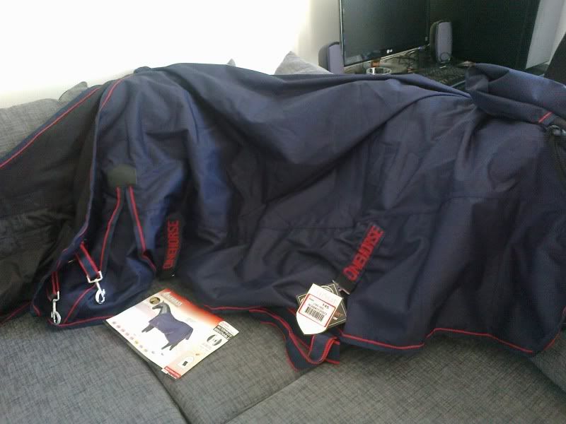 20110708066.jpg