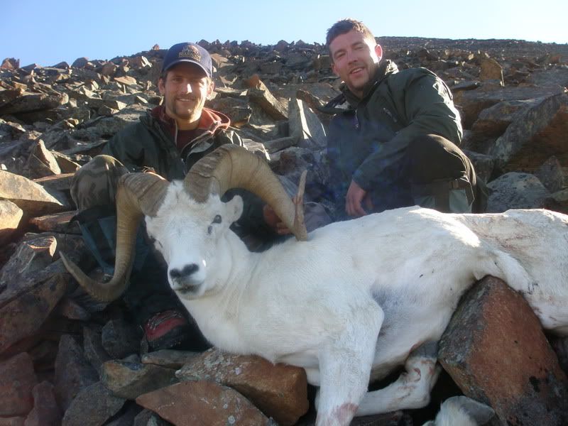 here are a couple pics from my brothers last dall sheephunt in ak
