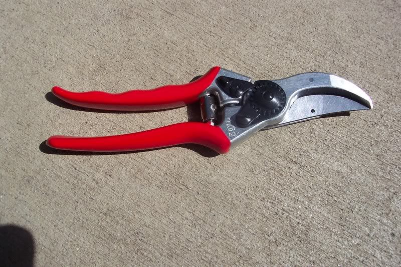 Felco Pruner