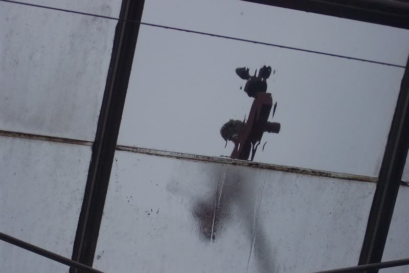 Looking up at greenhouse roof.