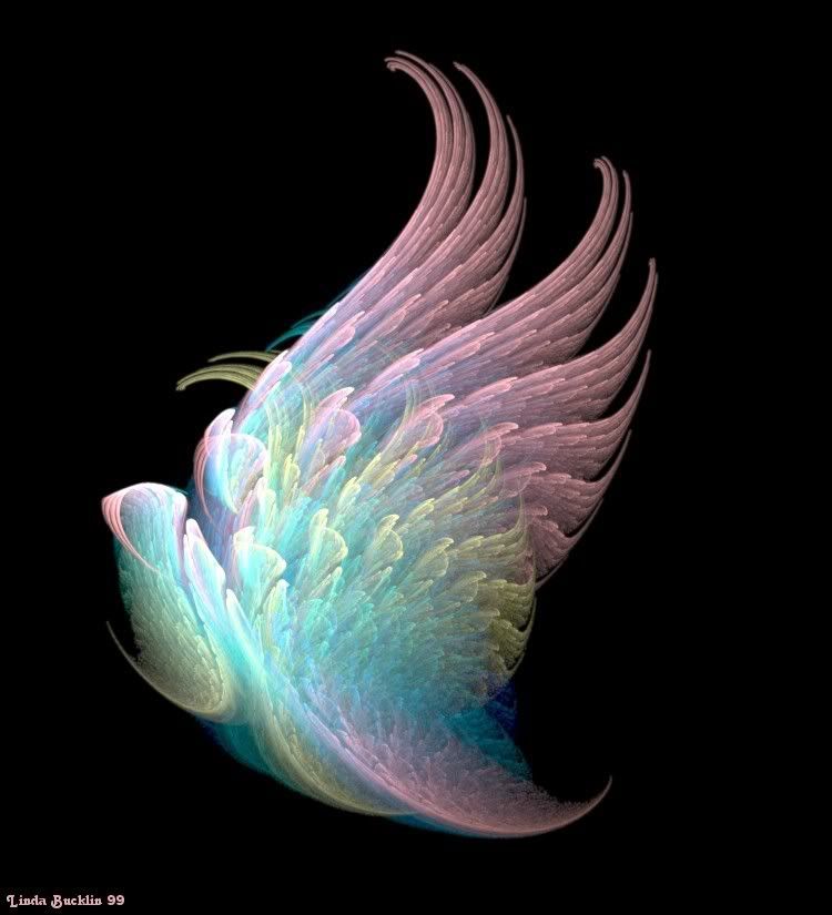 Heavenly wings photo Angelswings.jpg