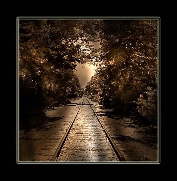  photo old_railroad_tracks.jpg