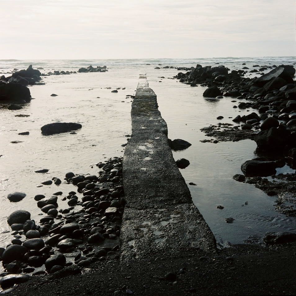 Courtney Lucas, Sea Wall (New Plymouth)