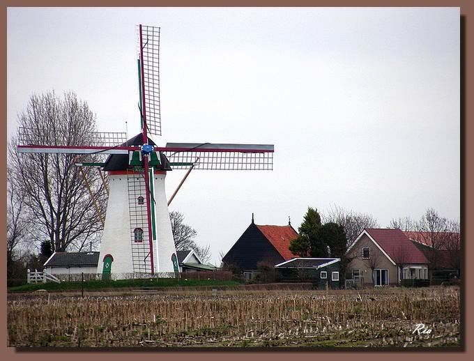 Klik op de afbeelding om de link te volgen