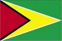 Guyana flag - Photobucket