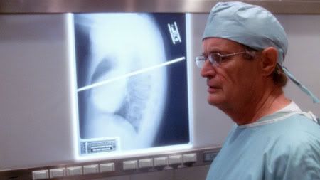 ducky Pictures, Images and Photos