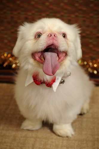 re: The Sublimely Cute!!!