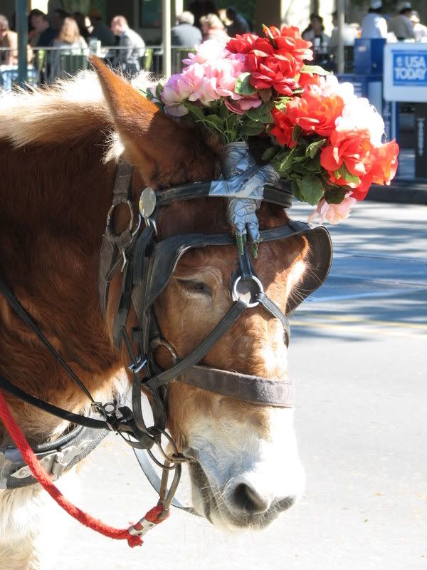 re: The Sublimely Cute!!!