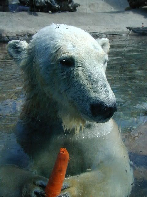 re: The Sublimely Cute!!!