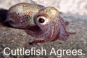 cuttlefish_agrees.jpg