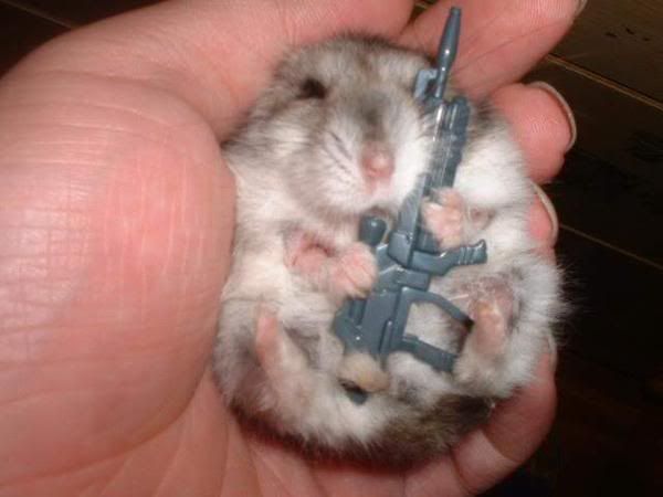 cute.jpg cute image by listerine_bucket