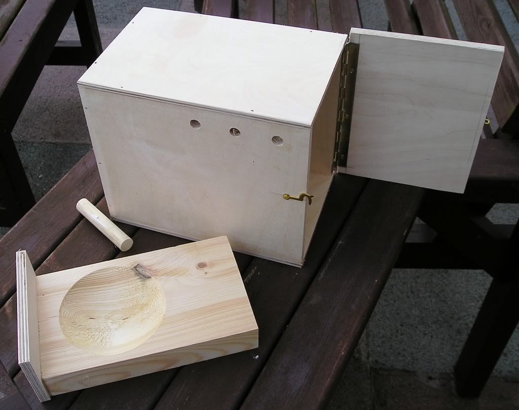 nest box build how to budgerigars forum nest box size