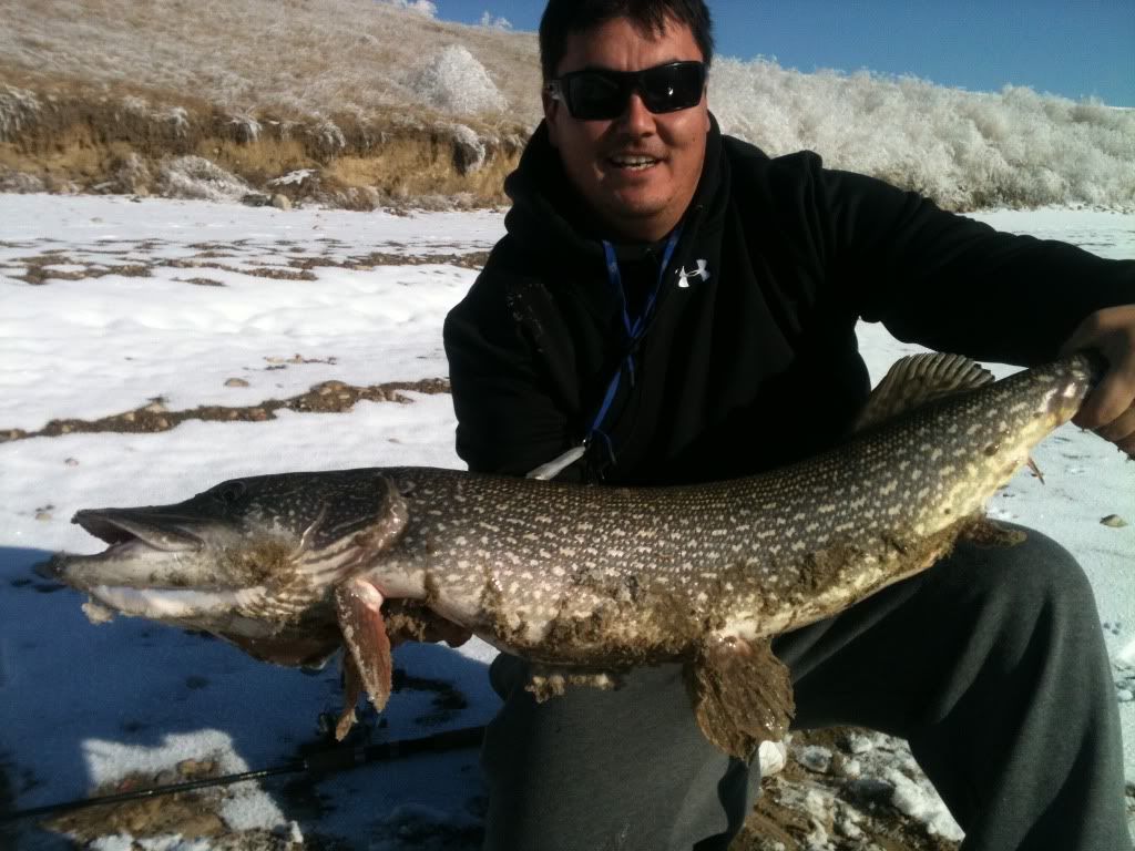 Twin Valley fish? Alberta Outdoorsmen Forum