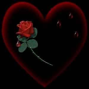 redheartoutlined-roseinside.jpg red heart - outlined - rose inside image by angelgran