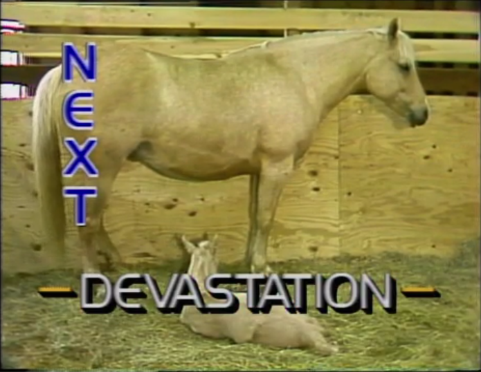 next-devastation_zps6aad93ea.png