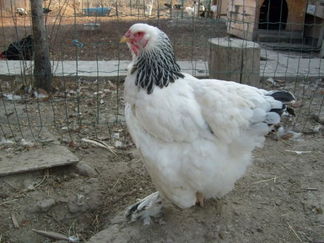 53563508_OESRBTI2.jpg