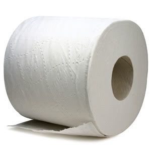 toilet paper photo: toilet paper toilet-paper1.jpg
