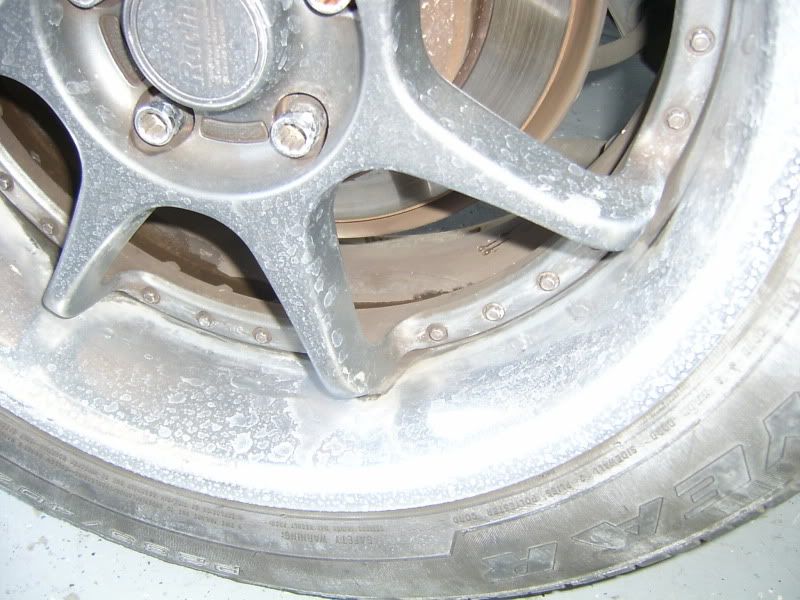 S3600008.jpg