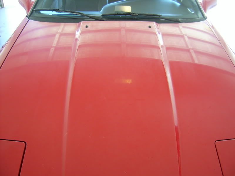 S3600012.jpg