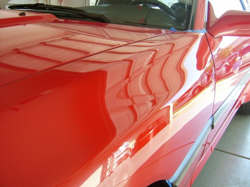 S3600018-1.jpg