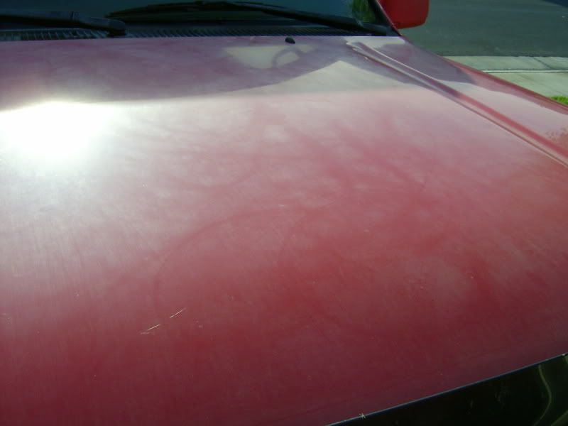 S3600020.jpg