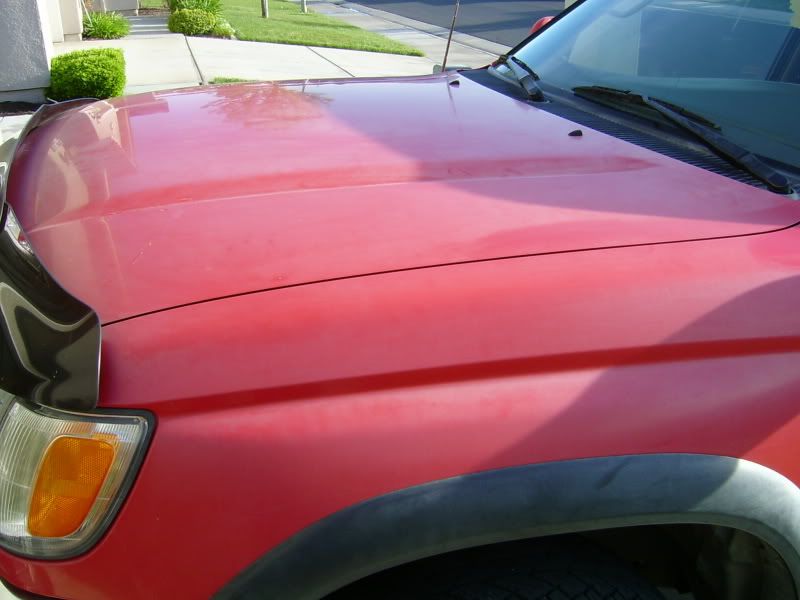 S3600022.jpg