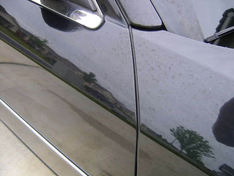 S3600023.jpg